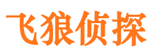 绥中市私家侦探